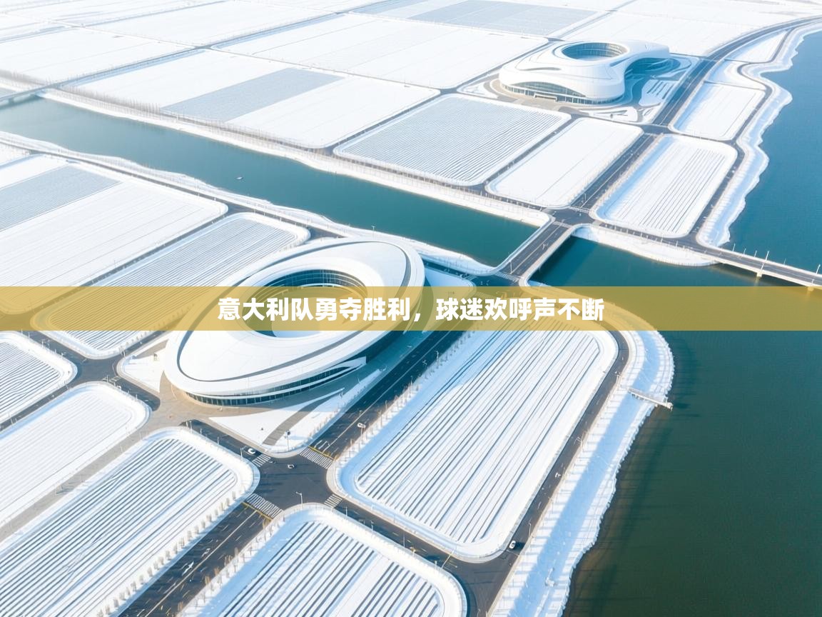 意大利队勇夺胜利,球迷欢呼声不断 第2张