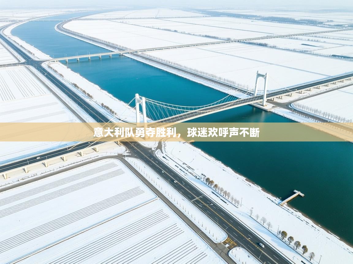 意大利队勇夺胜利,球迷欢呼声不断 第1张