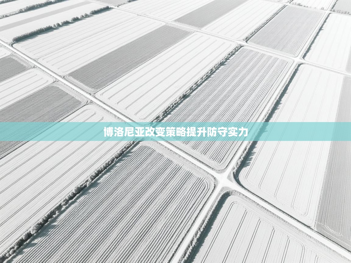 博洛尼亚改变策略提升防守实力 第1张