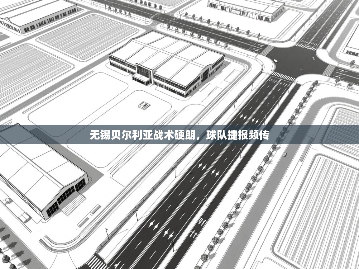 无锡贝尔利亚战术硬朗，球队捷报频传  第1张