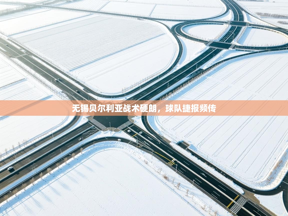 无锡贝尔利亚战术硬朗，球队捷报频传  第2张