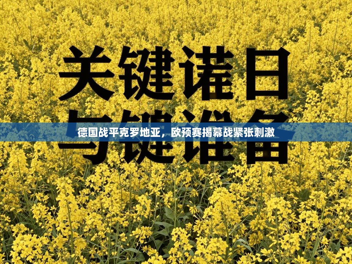 德国战平克罗地亚，欧预赛揭幕战紧张刺激  第1张