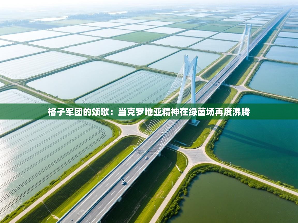 格子军团的颂歌：当克罗地亚精神在绿茵场再度沸腾  第1张