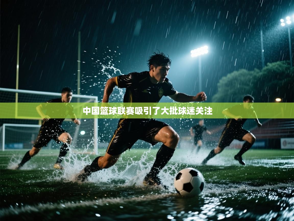 中国篮球联赛吸引了大批球迷关注  第1张