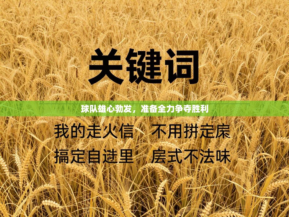 球队雄心勃发,准备全力争夺胜利 第2张