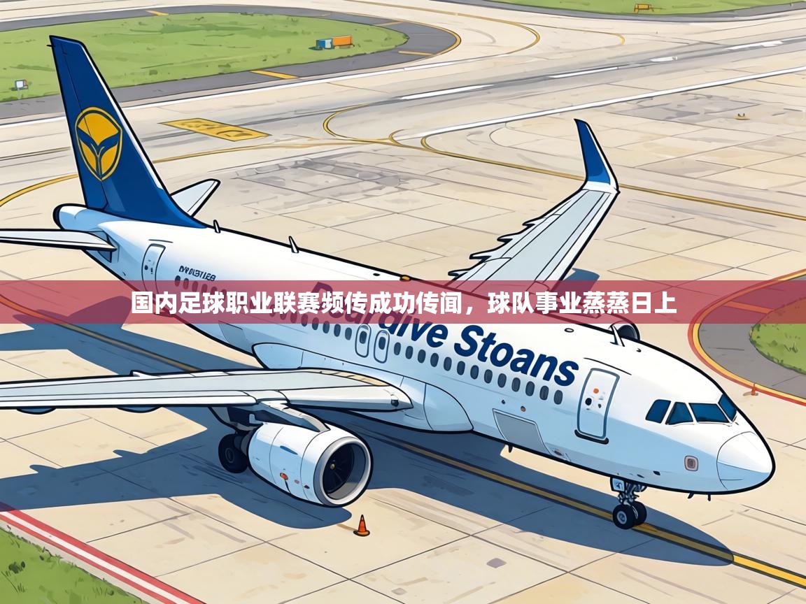 国内足球职业联赛频传成功传闻,球队事业蒸蒸日上 第2张